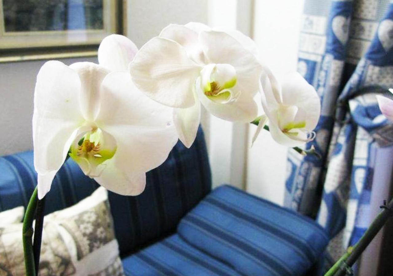 Hotel Bucaneve เพร-แซงต์-ดีดีเย ภายนอก รูปภาพ